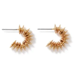 The Metropolitan Museum of Art Jewelry Sets*Golden Disc Necklace And Huggie Earrings Set