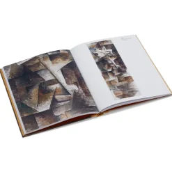 The Metropolitan Museum of Art Exhibition Catalogues*Picasso: A Cubist Commission In Brooklyn