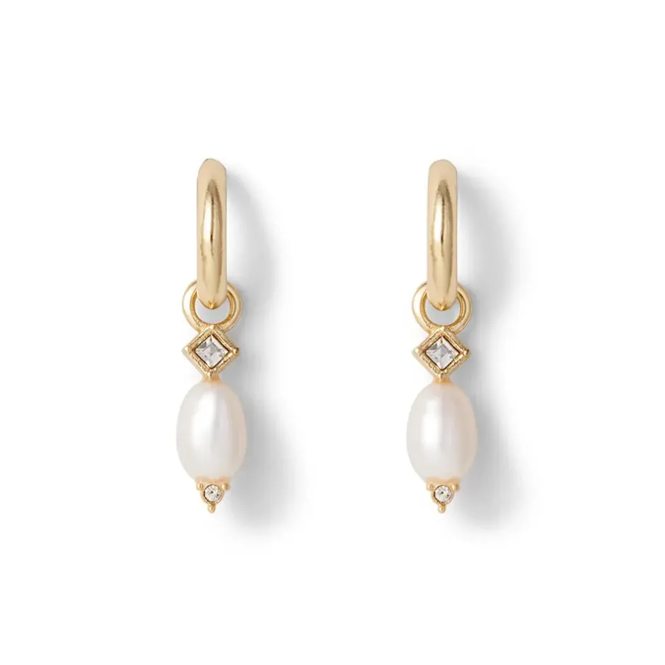 The Metropolitan Museum of Art Earrings*Royal Tudor Small Hoop Earrings With Pearls